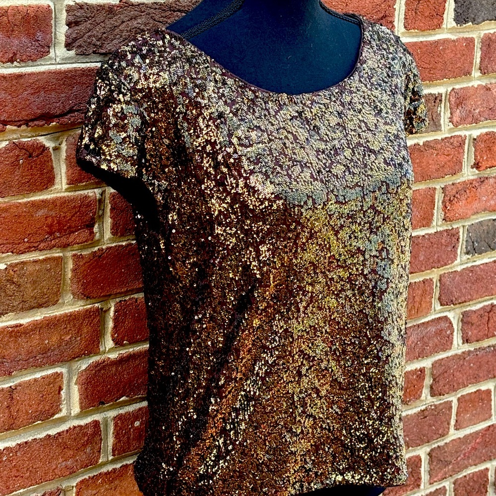 Sequin Bronze top